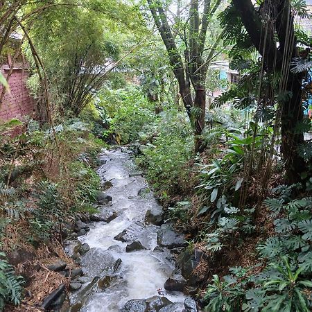 Yolo Hostel Medellín Zewnętrze zdjęcie