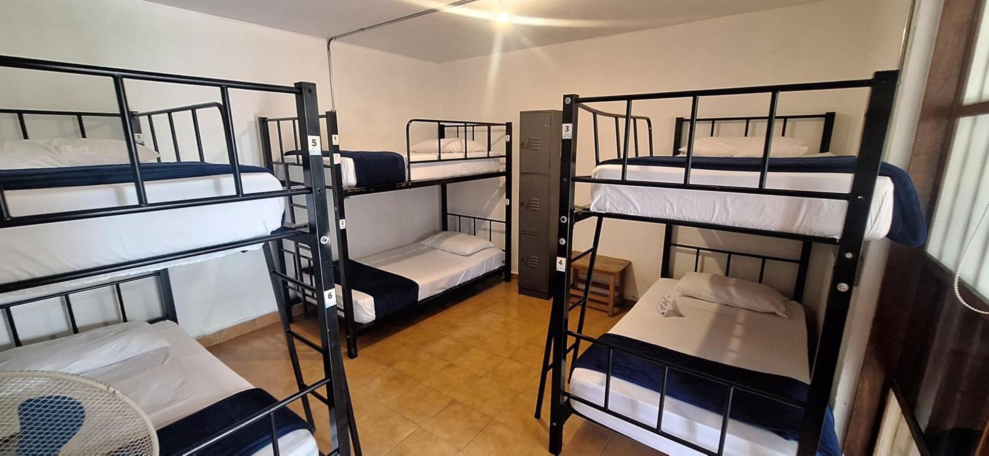 Yolo Hostel Medellín Zewnętrze zdjęcie